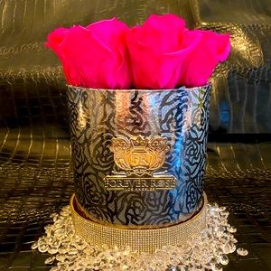 Forever Rose Preserved Roses That Last For 5 Years